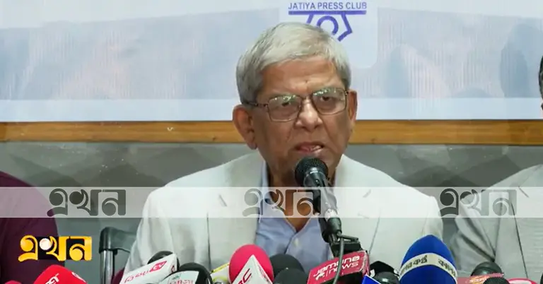 গণমাধ্যম বিজনেস হাউজের প্রতিনিধি হয়ে গিয়েছে: মির্জা ফখরুল